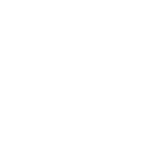 Network Topology Mapper